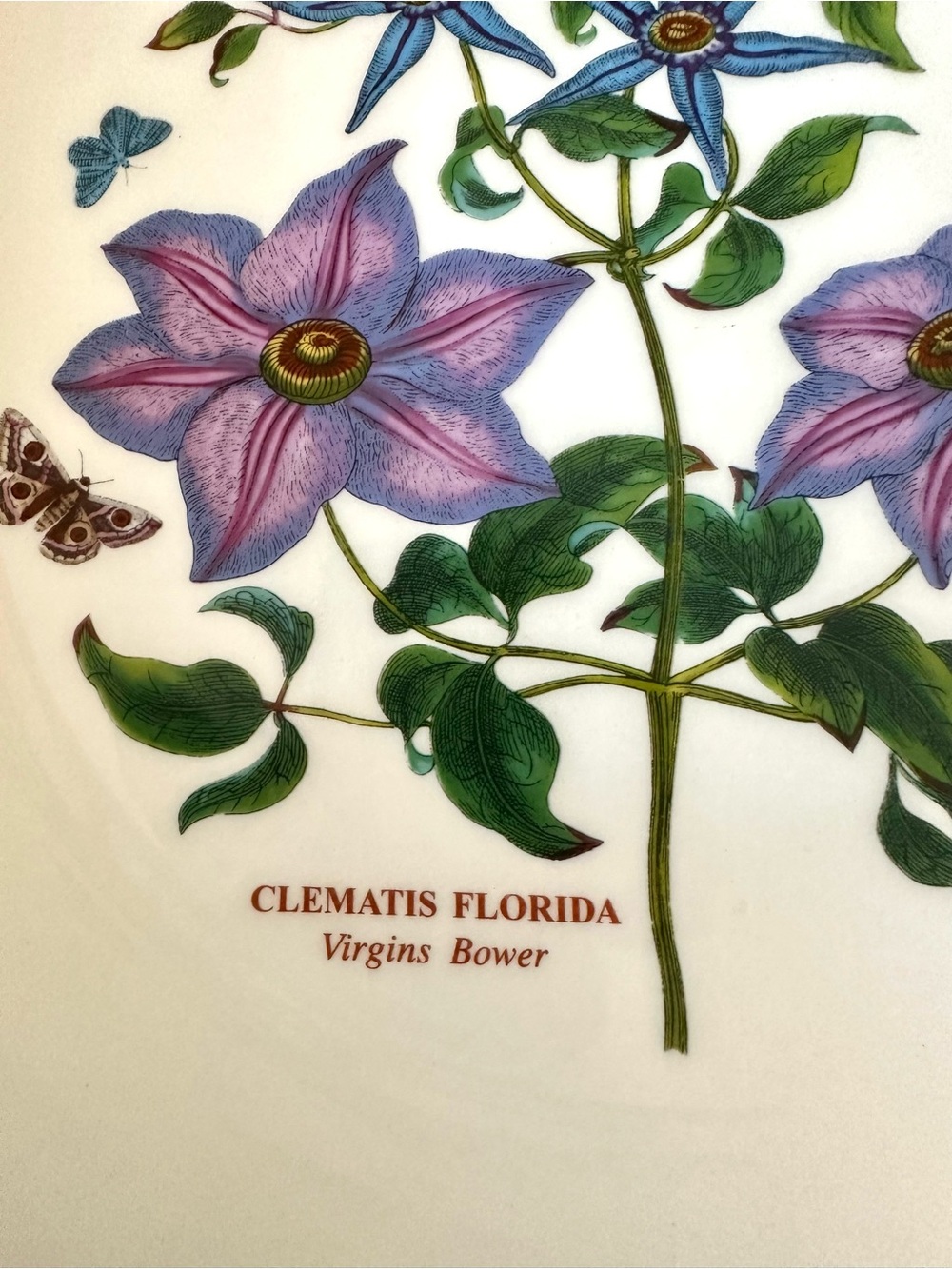 Portmeirion Botanic Garden 10.5” Rim Soup Pasta Bowl Clematis Florida England - Picture 7 of 7